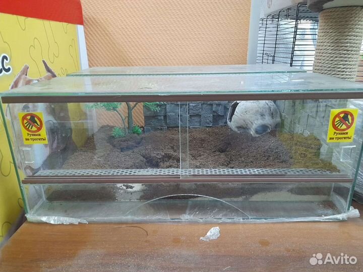 Террариум для рептилий
