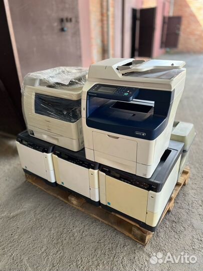 Принтеры и мфу оптом, лот 27шт