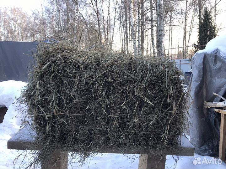 Сено разнотравье в тюках