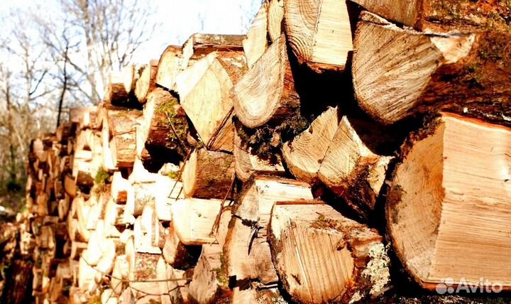 Дрова в город
