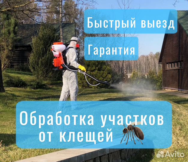 Обработка участков от клещей борщевика