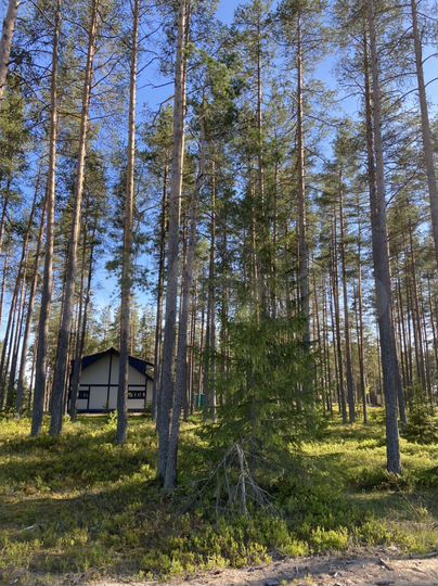 Участок 8 сот. (ИЖС)