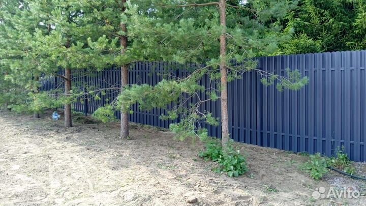 Заборы от производителя: 3D Сетка Евроштакетник