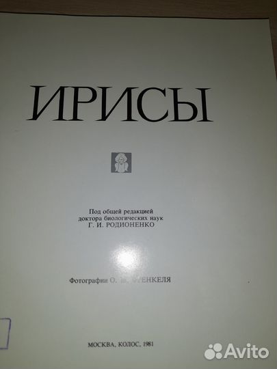 Хобби и отдых