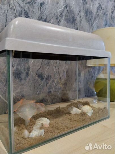 Аквариум 15 литров с подсветкой
