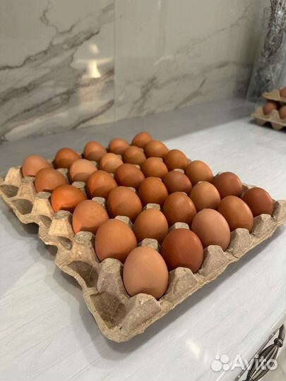 Яйцо фермерское, домашнее