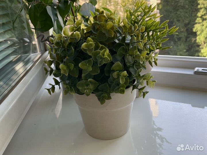 Фейка IKEA. Цветы искусственные