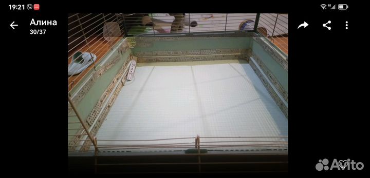 Клетка большая и очень большая