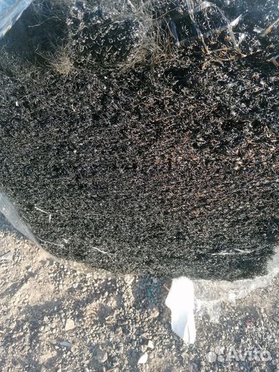 Продам полипропилен пп