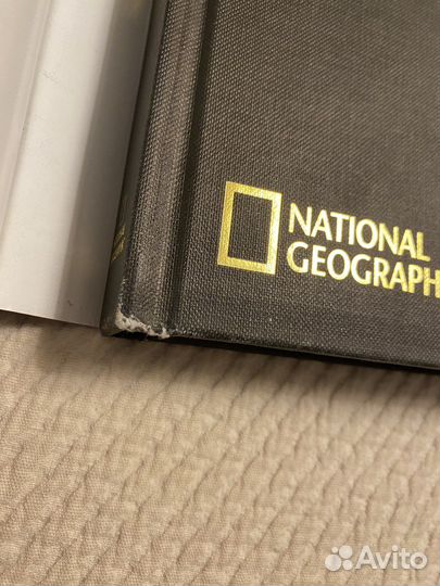 Китай империя дракона