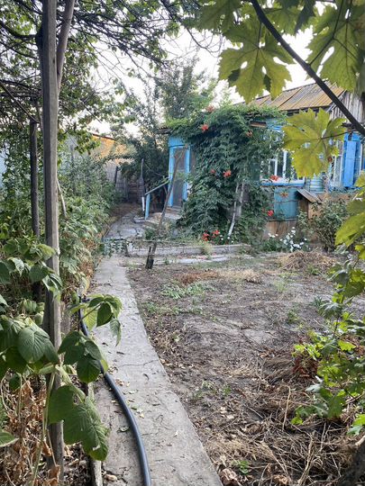 Дом 28,9 м² на участке 3,8 сот.