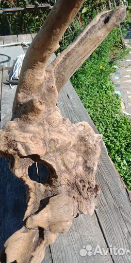 Дрифтвуд,коряги дубовые