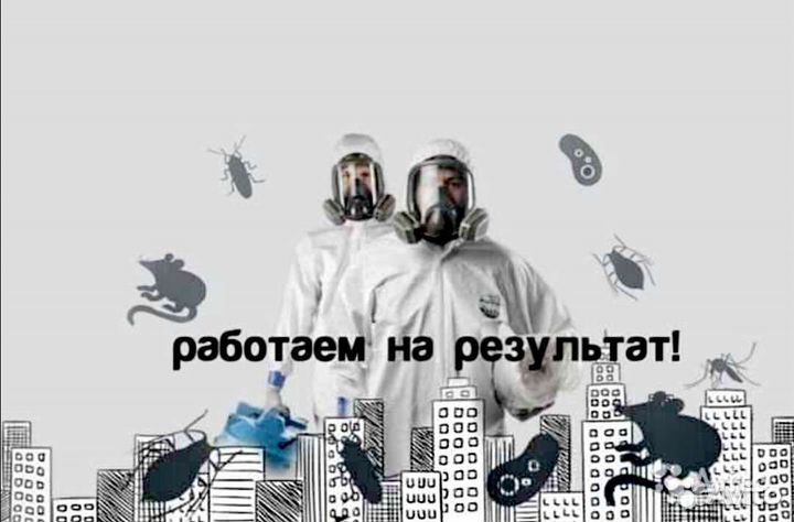 Уничтожение клопов тараканов блох мышей