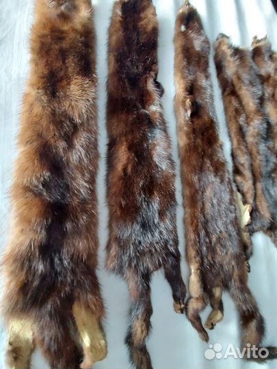 Шкурки норки СССР