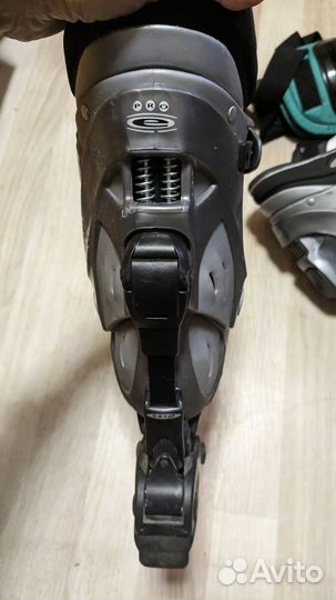 Ролики взрослые rollerblade