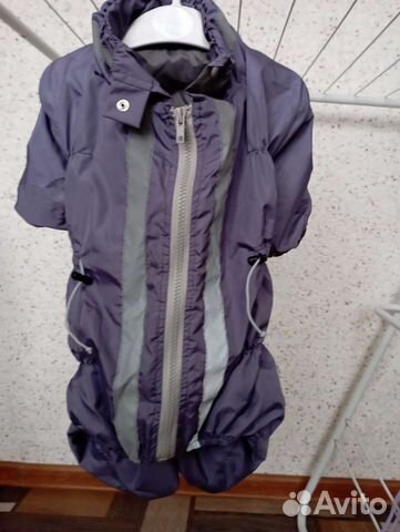 Вещи на маленькую собаку