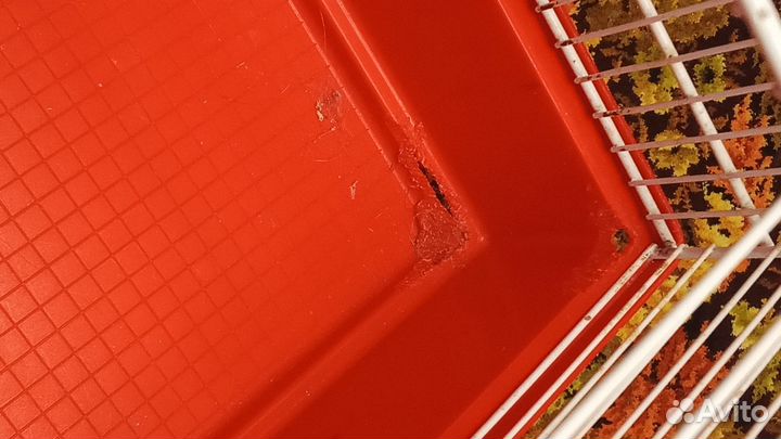 Продаю клетки для грызунов