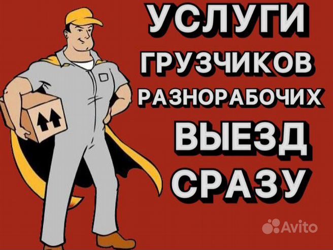 Отдел снабжения. Обязанности отдела снабжения. Грузчики коробки. Грузчики калуга. Грузчики ижевск на час.