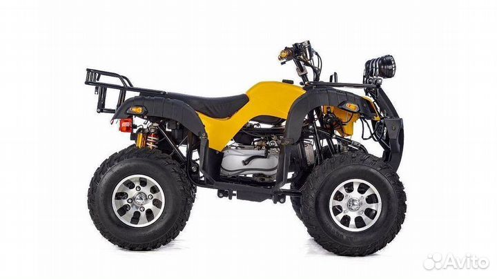 Квадроцикл Raptor Max Pro 250