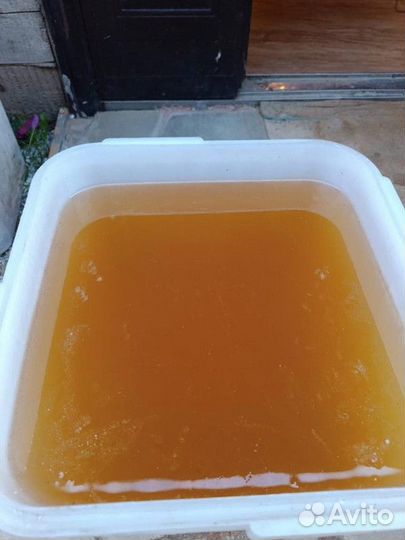 Мёд Лесной оптом