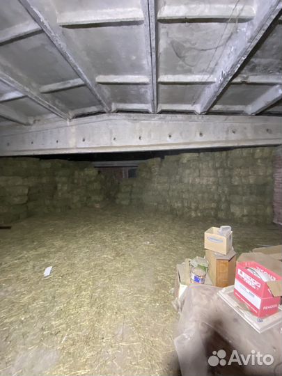 Сено люцерна клевер по 25 кг отличное качество