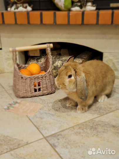 Корзина для хранения игрушек