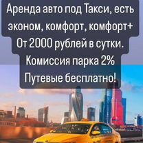 Аренда авто под такси без залога