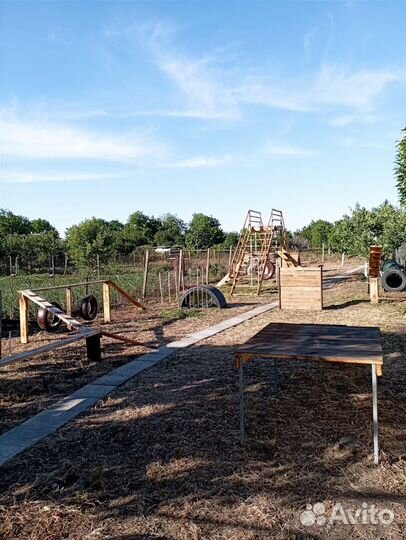 Центр дрессировка собак