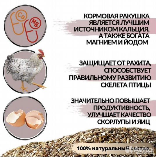 Ракушка кормовая