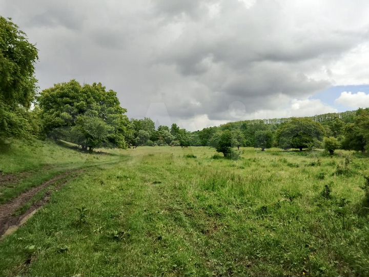 Участок 1,79 га (СНТ, ДНП)