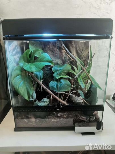Террариум Exo Terra 45/60/60