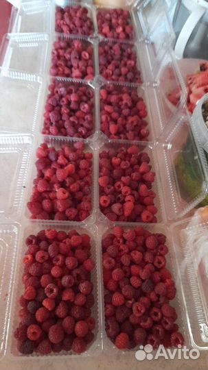 Малина ягоды свежая