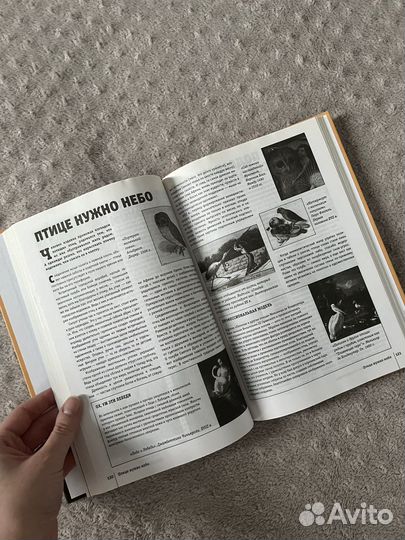 Книга об искусстве 100 гениальных идей