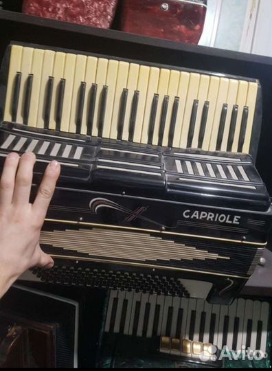 Немецкий аккордеон capriole 4/4
