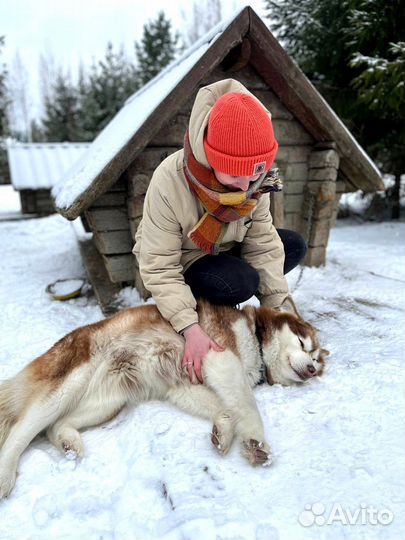 Праздничные каникулы в Карелии