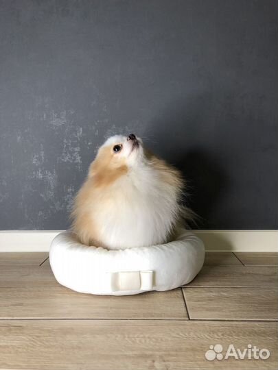 Лежанка для собак маленьких пород, для котят