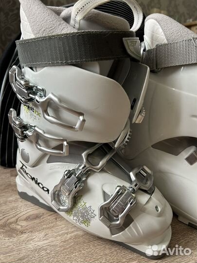 Горные лыжи