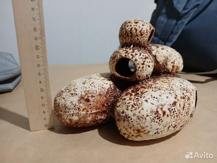 Грот, пещера для нереста