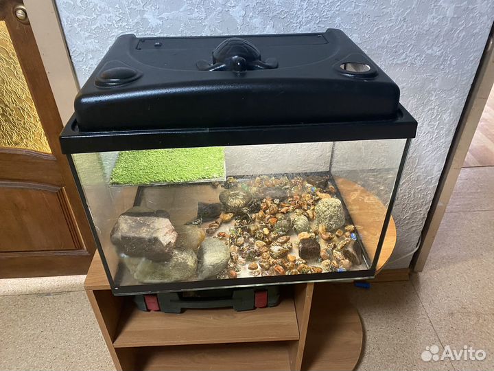 Террариум для черепахи большой