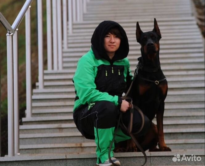 Дрессировка собак Одинцово, Трехгорка, Сколковский