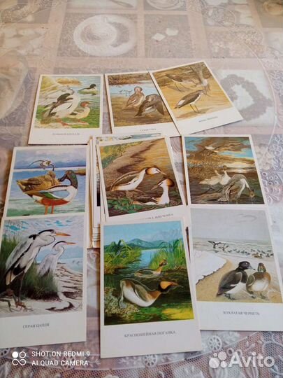 Фото советских артистов