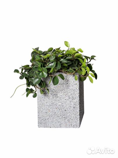 Изделия из бетона в наличии и на заказ