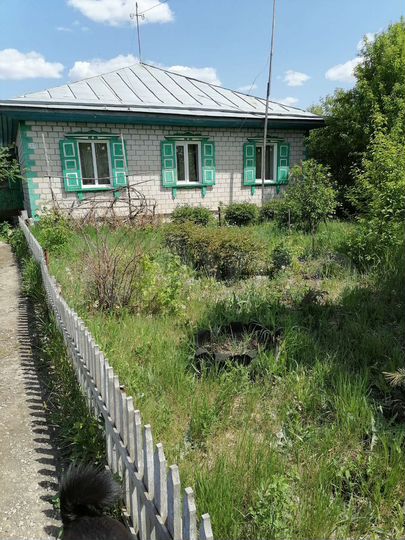 Дом 100 м² на участке 46 сот.