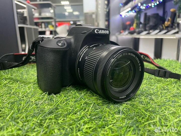 Зеркальный фотоаппарат Canon EOS 250D Kit 18-55 IS