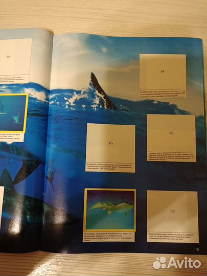 Журнал для наклеек Мир моря