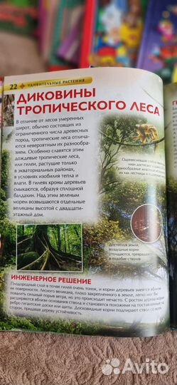 Книга о Удивительных Растениях