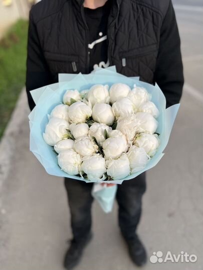 Пионы оптом