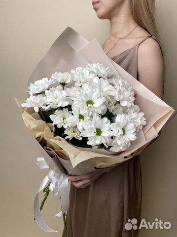 Ромашковая хризантема доставка