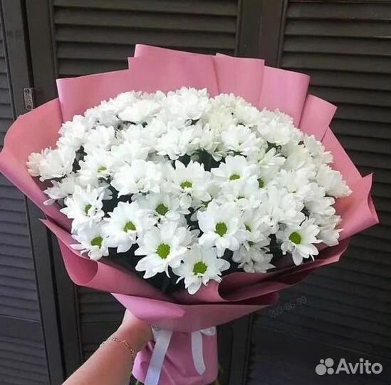 Букет Хризантем