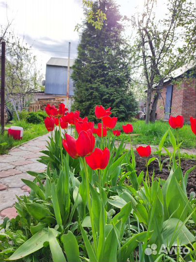 Основная камера на Xiaomi 11 lite 5g ne